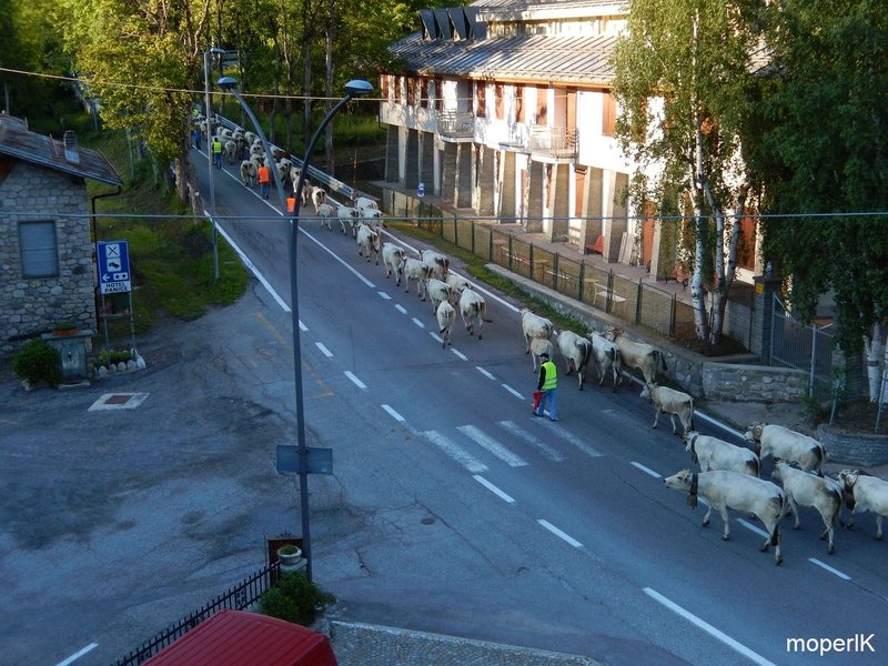 k-Grenzkammstrasse 2014 126.JPG