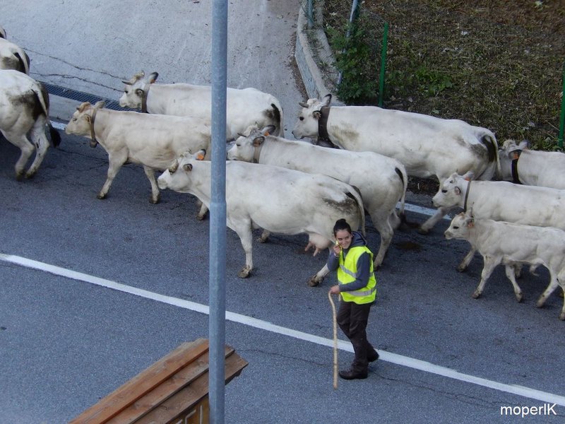 k-Grenzkammstrasse 2014 128.JPG