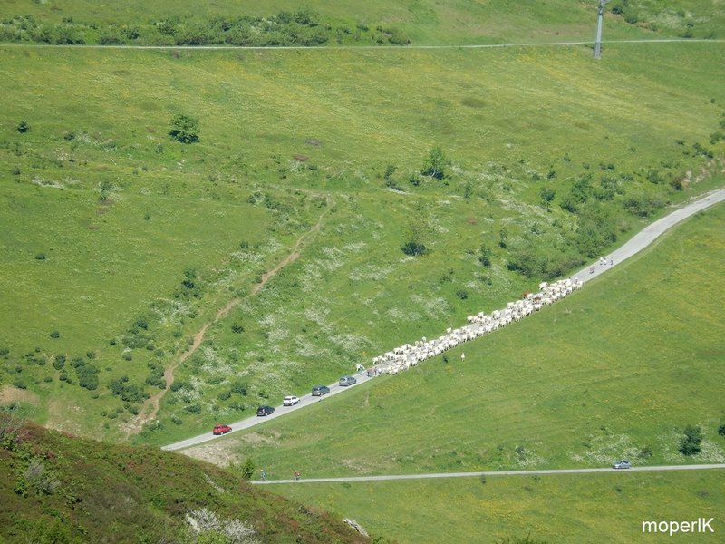 k-Grenzkammstrasse 2014 137.JPG