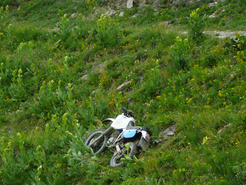 P1020271a.jpg