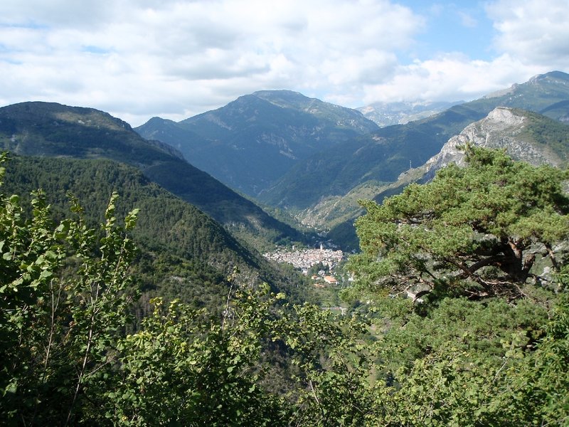 image125.jpg