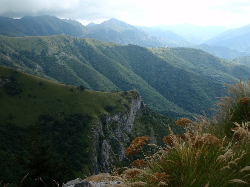 image139.jpg
