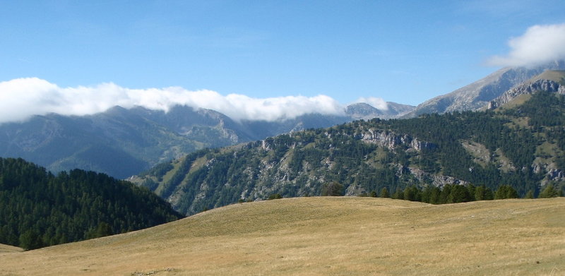 image146.1.jpg